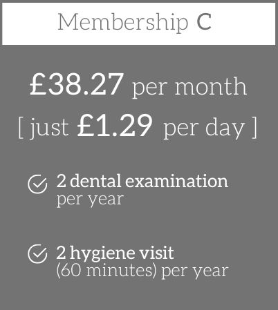 Sparkle Membership Plan squares for the website C